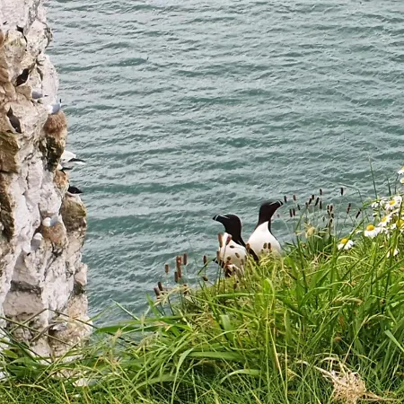 St Michael's Bed & Breakfast