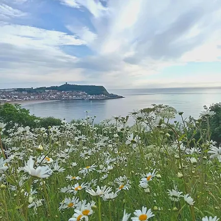 St Michael's Boutique B&b, North Bay, Scarborough, North Yorkshire, With Free Parking And Free Wi-fi Guest house