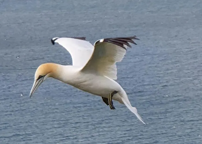 Bed & Breakfast St Michael's 4*