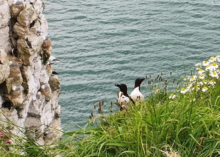 St Michael's Bed & Breakfast