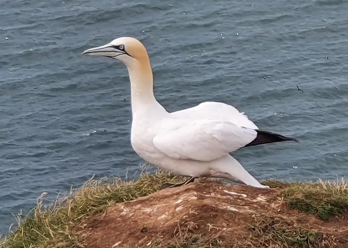 St Michael's Scarborough