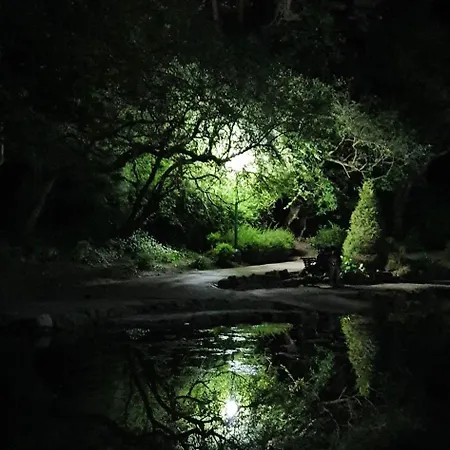 St Michael's סקארבורו