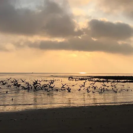 לינה וארוחת בוקר St Michael's סקארבורו